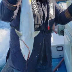 海龍丸(石川) 釣果