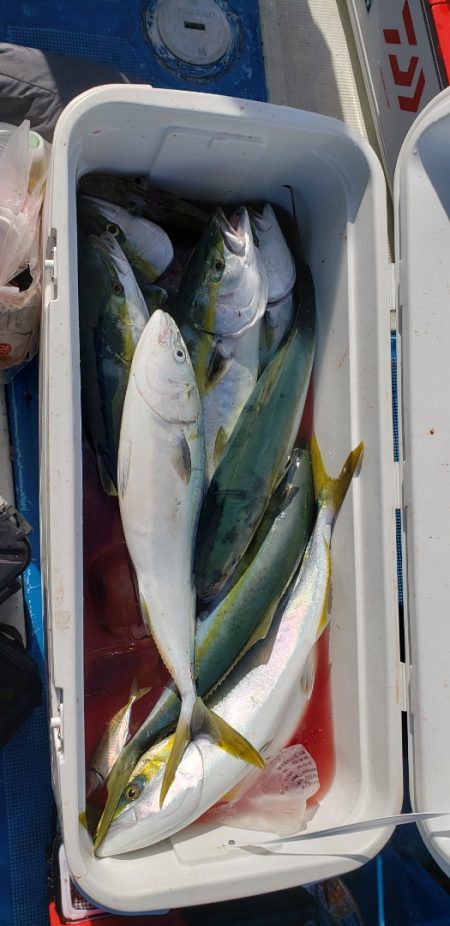 海龍丸(石川) 釣果