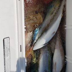 海龍丸(石川) 釣果