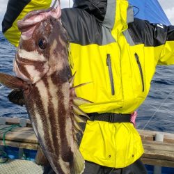 海龍丸（石川） 釣果