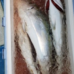 海龍丸（石川） 釣果