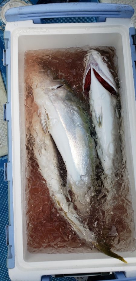 海龍丸（石川） 釣果