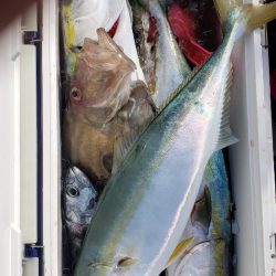 海龍丸(石川) 釣果