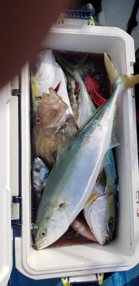 海龍丸(石川) 釣果