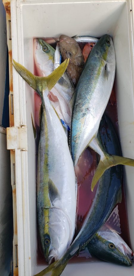 海龍丸（石川） 釣果