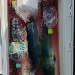 海龍丸(石川) 釣果