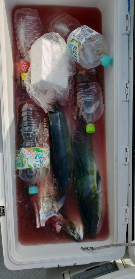 海龍丸(石川) 釣果