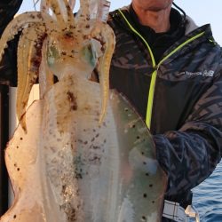 シースナイパー海龍 釣果