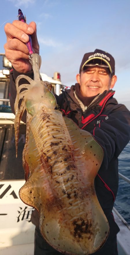 シースナイパー海龍 釣果