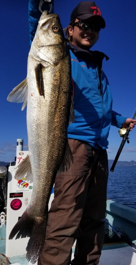 アマテラス 釣果