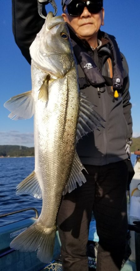 アマテラス 釣果