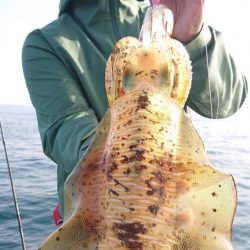 シースナイパー海龍 釣果