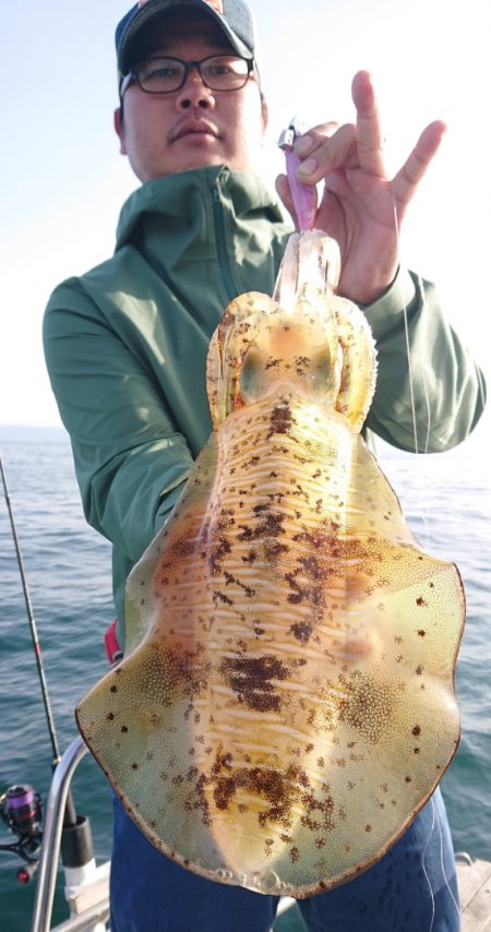 シースナイパー海龍 釣果