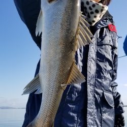 アマテラス 釣果