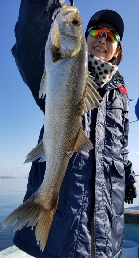 アマテラス 釣果