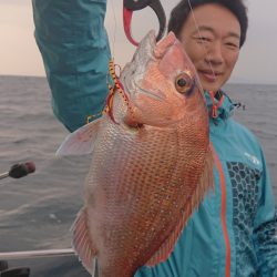 ARCADIAⅡ (アルカディアⅡ) 釣果