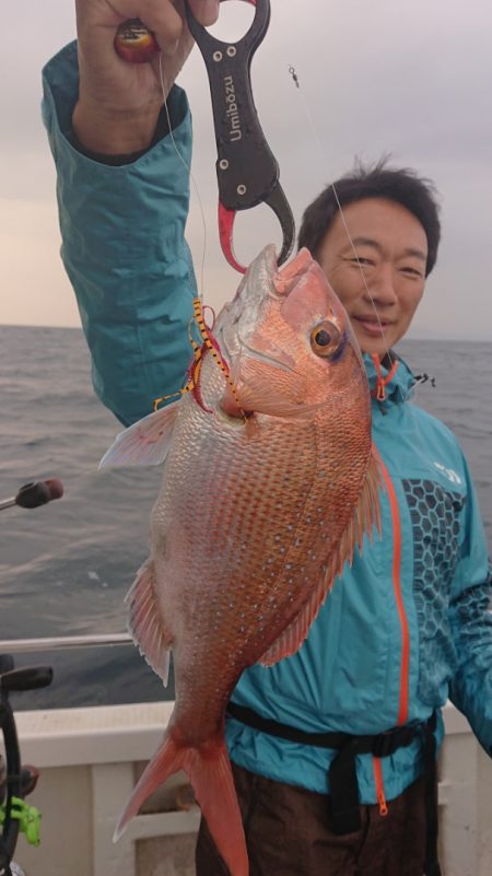 ARCADIAⅡ (アルカディアⅡ) 釣果