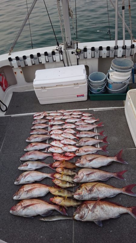 ARCADIAⅡ (アルカディアⅡ) 釣果