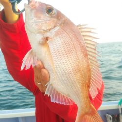 新幸丸 釣果