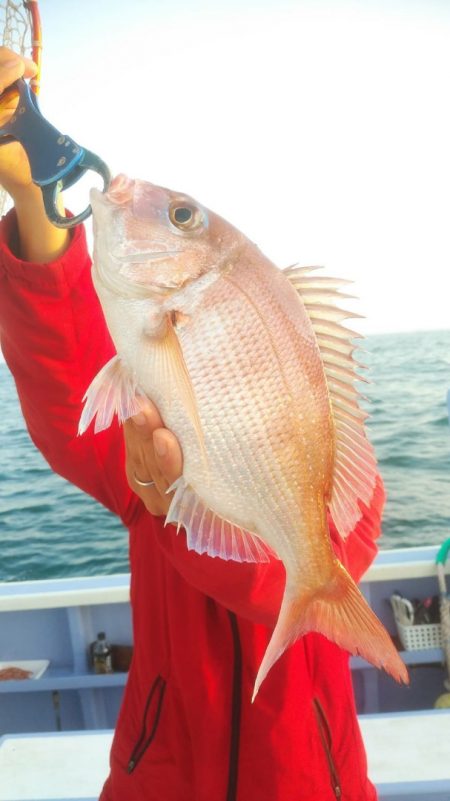 新幸丸 釣果