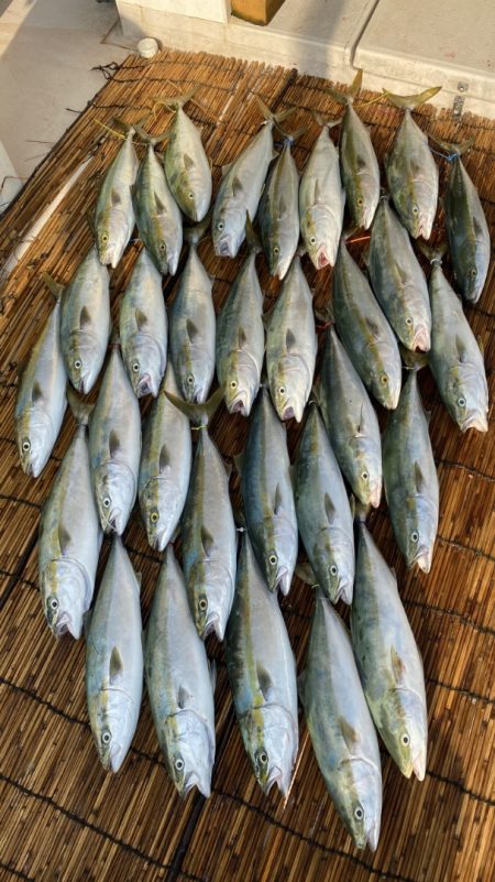 釣人家 釣果