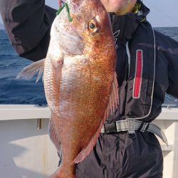 ARCADIAⅡ （アルカディアⅡ） 釣果