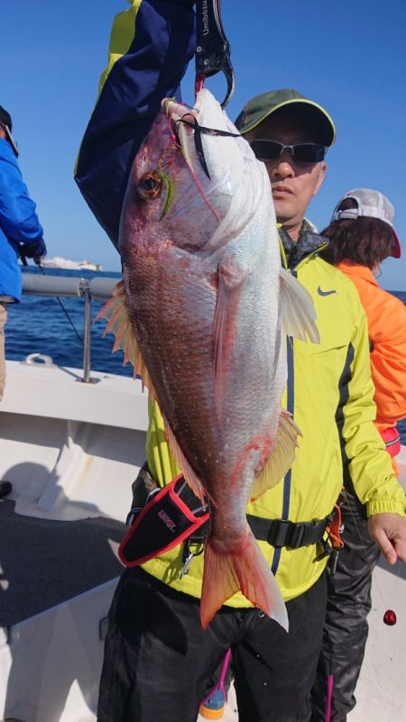 ARCADIAⅡ (アルカディアⅡ) 釣果