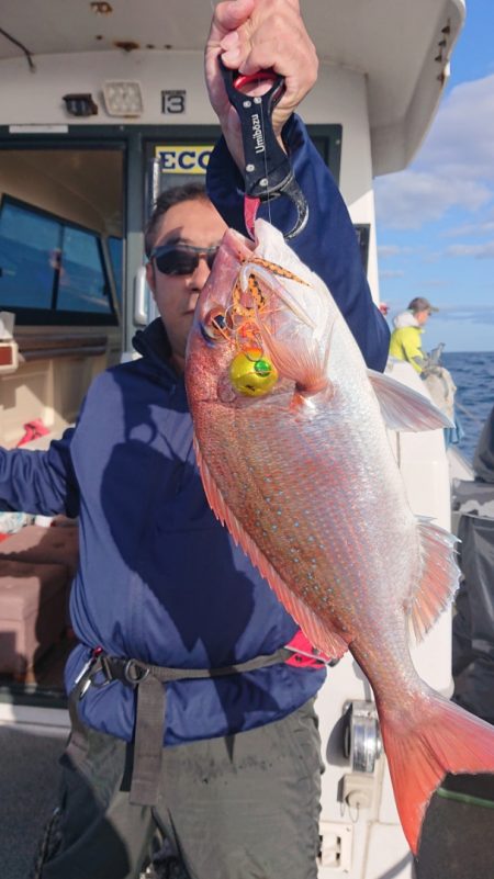 ARCADIAⅡ (アルカディアⅡ) 釣果