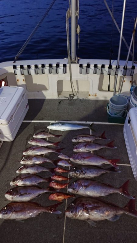 ARCADIAⅡ (アルカディアⅡ) 釣果