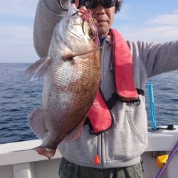 ARCADIAⅡ (アルカディアⅡ) 釣果