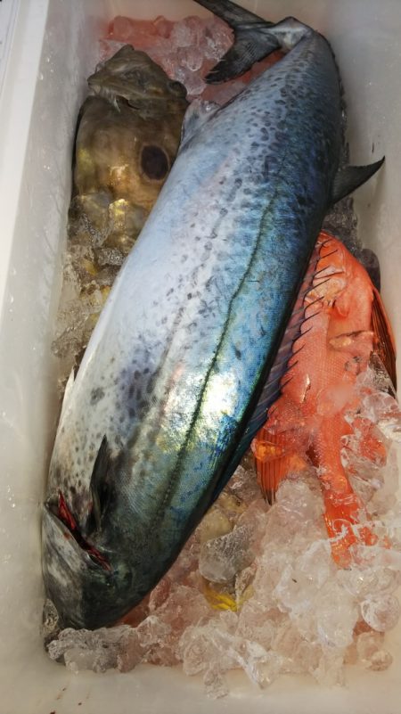 第二龍勢丸 釣果