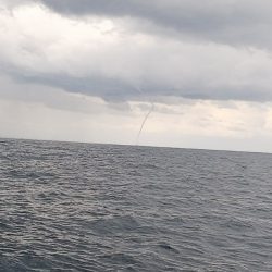 第二龍勢丸 釣果