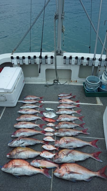 ARCADIAⅡ (アルカディアⅡ) 釣果