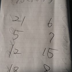 金沢八景鴨下丸 釣果