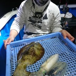 第三共栄丸 釣果