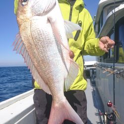 だて丸 釣果