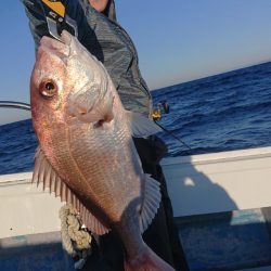 だて丸 釣果