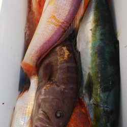 第二龍勢丸 釣果