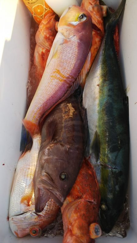 第二龍勢丸 釣果