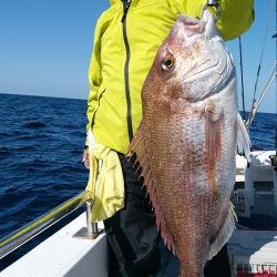 LUSTER『ラスター』 釣果