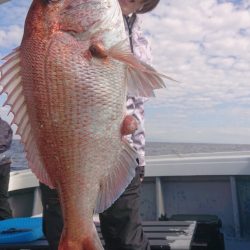 だて丸 釣果