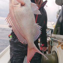 だて丸 釣果