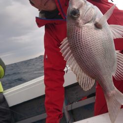 だて丸 釣果