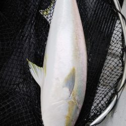 第二龍勢丸 釣果