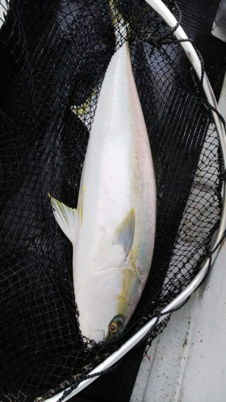 第二龍勢丸 釣果