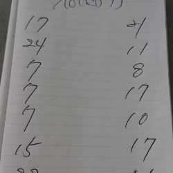 金沢八景鴨下丸 釣果