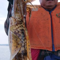 シースナイパー海龍 釣果