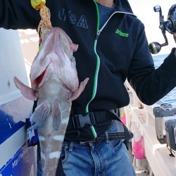 海皇丸 釣果
