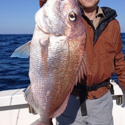 ARCADIAⅡ (アルカディアⅡ) 釣果