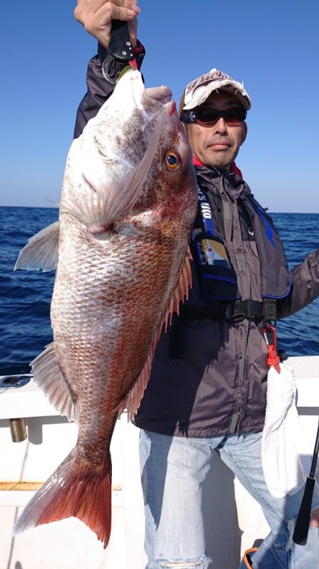 ARCADIAⅡ (アルカディアⅡ) 釣果